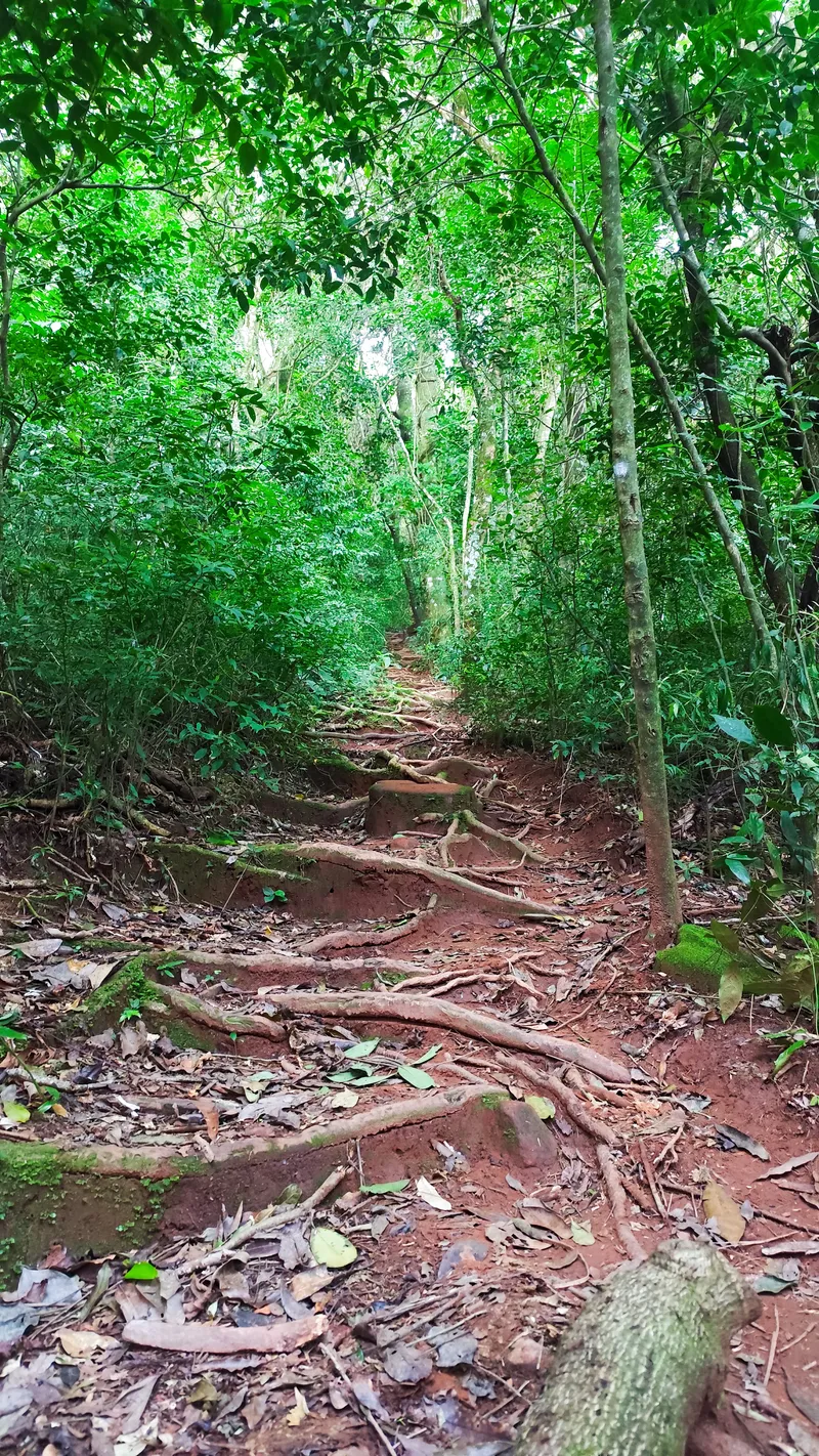 Morro Itacolomi — foto 4