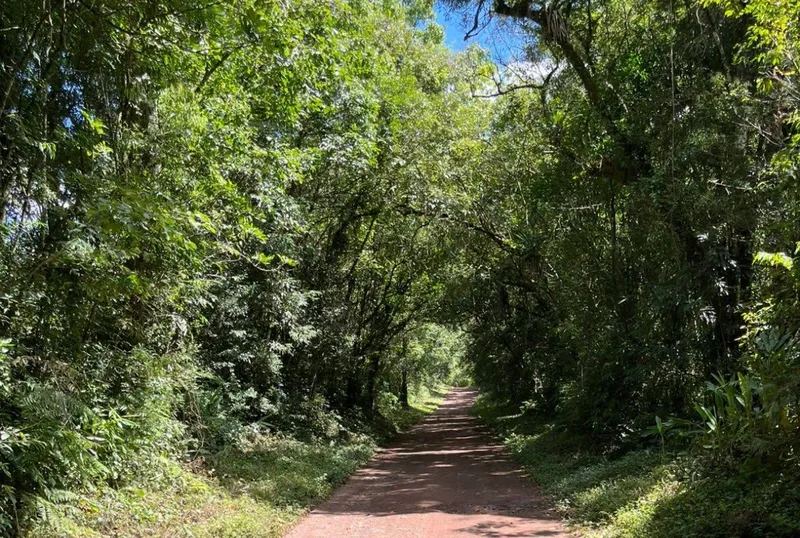Acampamento do Dia das Crianças — foto 5